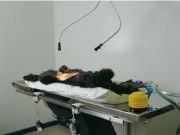 Buster Vet. Vakumlu Operasyon Yatağı. İkili Set