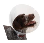 Buster Elizabeth Köpek Yakalığı. Transparan. 25 cm (10'lu Paket)