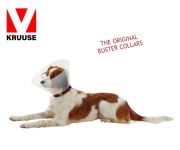 Buster Elizabeth Köpek Yakalığı. Transparan. 35 cm (10'lu Paket)