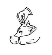 Sayberk Boynuz Köreltme Kalemi (Kostik Kalem) 10 Gr.