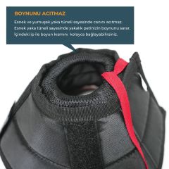 Petsuit Tekstil Elizabeth Yakalık 10 cm. Yıkanabilir