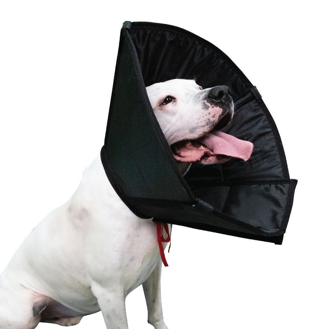 Tekstil Elizabeth Yakalık 15 cm. Yıkanabilir