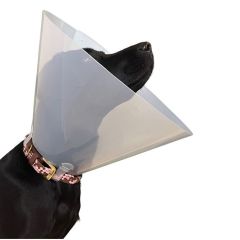 Curavet Elizabeth Köpek Yakalığı. Transparan. 20 cm (10'lu Paket)