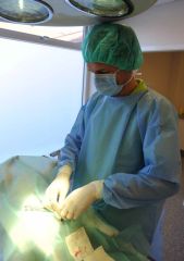 Curavet Veteriner Serviyet Bezi. Yeşil. 90 x 120 cm (25'li Paket)