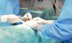 Curavet Veteriner Serviyet Bezi. Yeşil. 90 x 120 cm (25'li Paket)