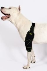 Köpek Dirsek Ateli. Ön Bacak. Sol