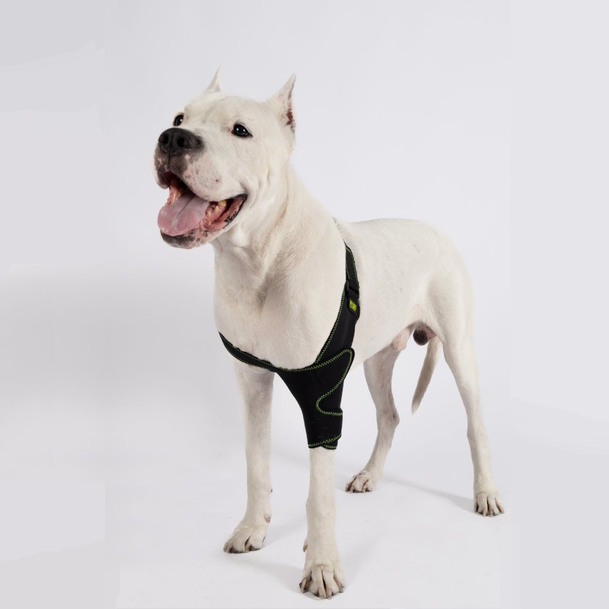 Petsuit Köpek Dirsek Ateli. Ön Bacak. Sol