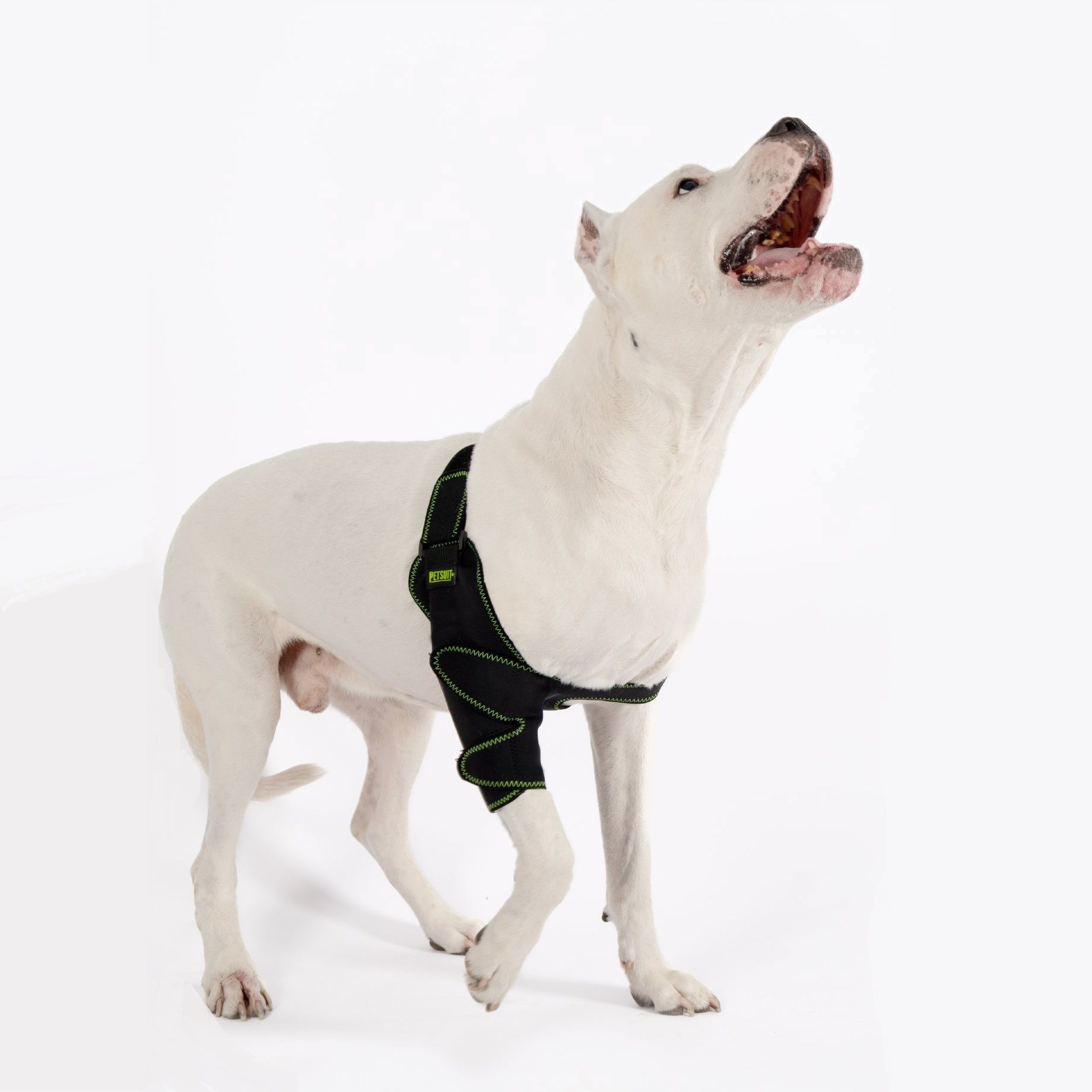 Petsuit Köpek Dirsek Ateli. Ön Bacak. Sağ