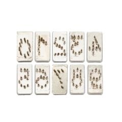 Kerbl Totover Pensi Rakam Seti 10 mm (0-9)