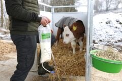 Kerbl Buzağı Besleme Sondası 2,5 Litre