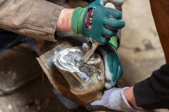 Aesculap Renet. Sağ. Geniş Ağızlı