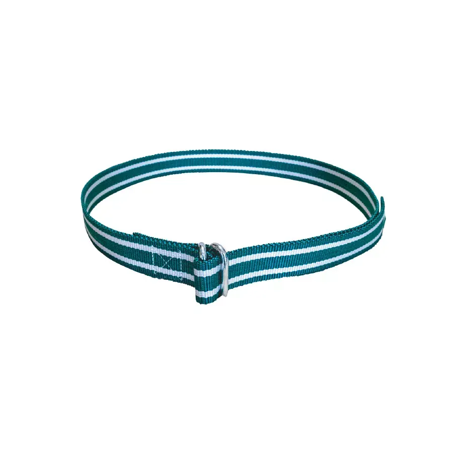Büyükbaş Boyun Numaratör Kayışı. Palaska Tip. 160 cm. Yeşil / Beyaz