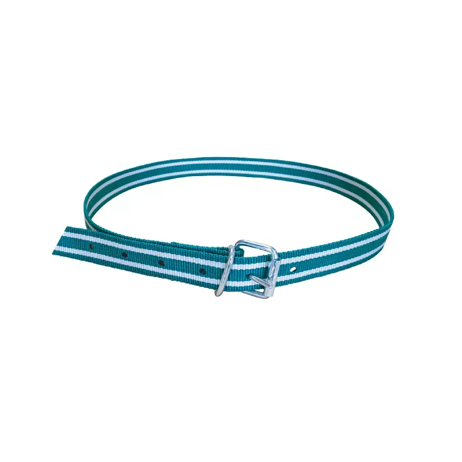 Büyükbaş Boyun Numaratör Kayışı. Tokalı Model. 130 cm. Yeşil / Beyaz