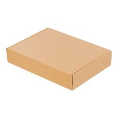 Kilitli Paketleme Kutusu (100 Adet) 26 x 19 x 5 cm