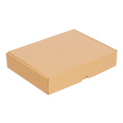 Kilitli Paketleme Kutusu (100 Adet) 26 x 19 x 5 cm