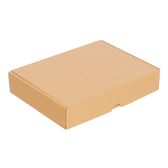 Kilitli Paketleme Kutusu (100 Adet) 26 x 19 x 5 cm
