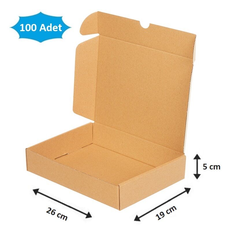 Kilitli Paketleme Kutusu (100 Adet) 26 x 19 x 5 cm