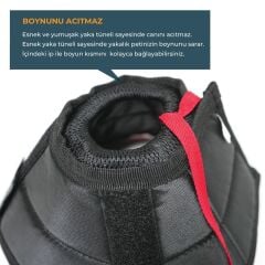 Petsuit Tekstil Elizabeth Yakalık 10 cm. Desenli. Yıkanabilir