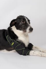 Petsuit Köpek Dirsek Ateli. Ön Bacak. Çiftli ( Sağ-Sol )