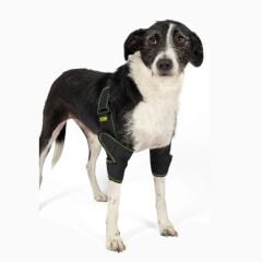 Petsuit Köpek Dirsek Ateli. Ön Bacak. Çiftli ( Sağ-Sol )