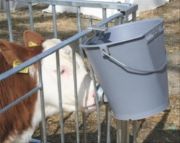 Kerbl Buzağı Süt Emzirme Kovası. 8 Litre