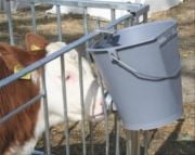 Kerbl Buzağı Süt Emzirme Kovası. 8 Litre