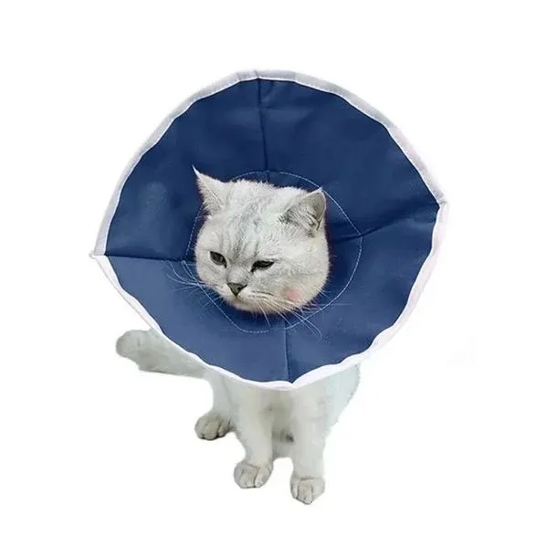 Buster Kedi Yakalığı. Soft