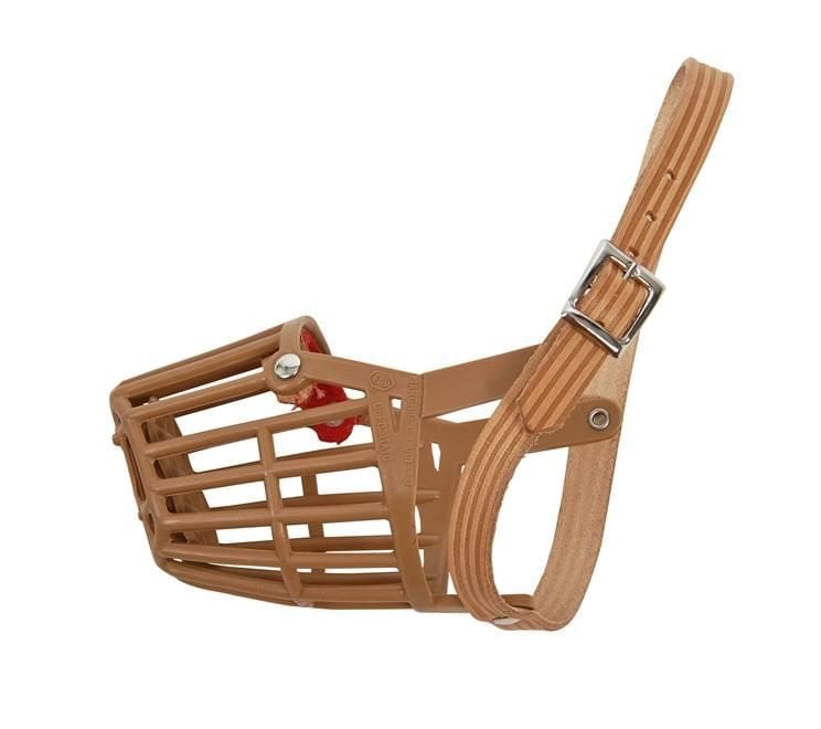 Buster Plastik Köpek Ağızlığı. No:2