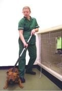 Kruuse Köpek Yakalama Aleti 150 cm