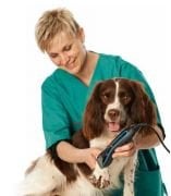 Oster A6 Tıraş Makinası. Üç Devirli