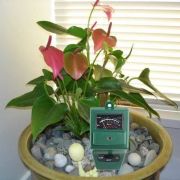 Toprak Nem, pH ve Işık Ölçer