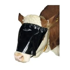 Sığır Göz Bandı