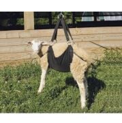 Koyun ve Keçiler İçin Tartı Askısı