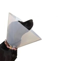 Curavet Elizabeth Köpek Yakalığı. Transparan. 7,5 cm
