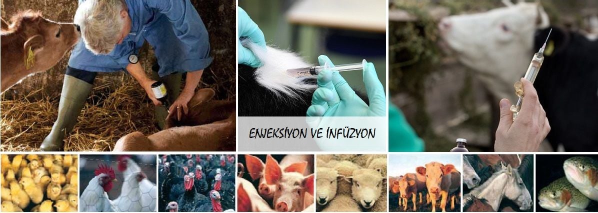 ENJEKSİYON VE İNFÜZYON