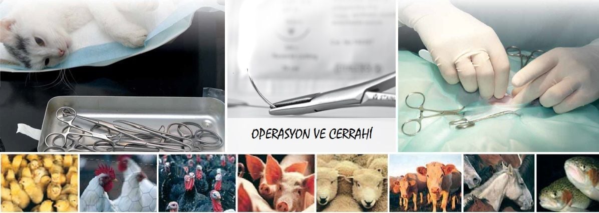 OPERASYON VE CERRAHİ