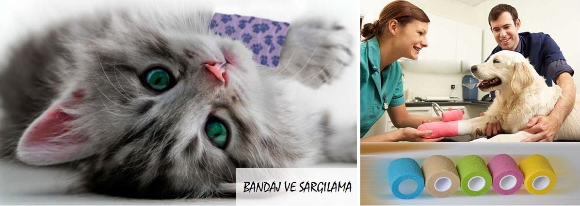 BANDAJ VE SARGILAMA